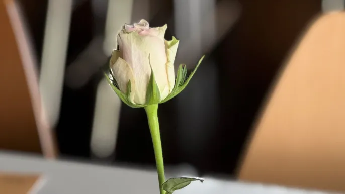 Senioren (Foto: Anita Frehner) Senioren (Foto: Anita Frehner)