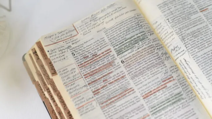 jasmin-ne-tcg2cmpCrx0-unsplash1264 (Foto: jasmin) jasmin-ne-tcg2cmpCrx0-unsplash1264 (Foto: jasmin)