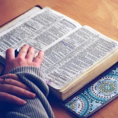 Bibel lesen (Foto: pixabay.com)